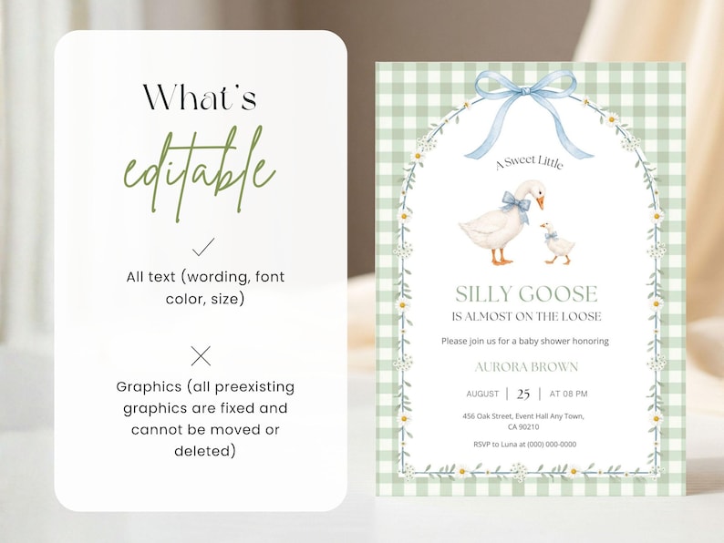 May include: A baby shower invitation card featuring a green gingham background, a floral arch, and a watercolor illustration of two geese with blue bows. The text reads: A Sweet Little SILLY GOOSE IS ALMOST ON THE LOOSE, honoring AURORA BROWN.