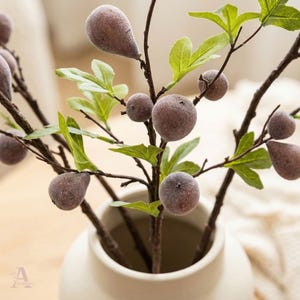 May include: A close-up of a decorative fig branch arrangement in a white vase. The branches are brown with green leaves and several fuzzy, purple-brown figs. The vase is a light cream color.