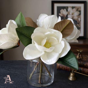 Puede incluir: Un jarrón de vidrio transparente contiene varias flores de magnolia blancas con hojas verdes y marrones. Las flores tienen un centro amarillo. El jarrón está sobre una superficie oscura. Una imagen enmarcada de flores de magnolia está en el fondo.