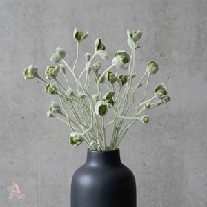 May include: A display of dried, silvery-green flowers with small, round buds and slender stems. The flowers are presented in a matte black vase, offering a minimalist and natural look. The vase is cylindrical with a narrow neck.