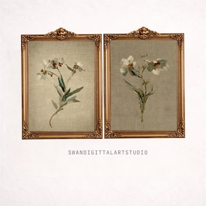 May include: Two rectangular wall art prints in ornate gold frames, each featuring a botanical painting of white flowers with green leaves on a textured beige background. The text SWANDIGITTALARTSTUDIO is printed in black below the frames.