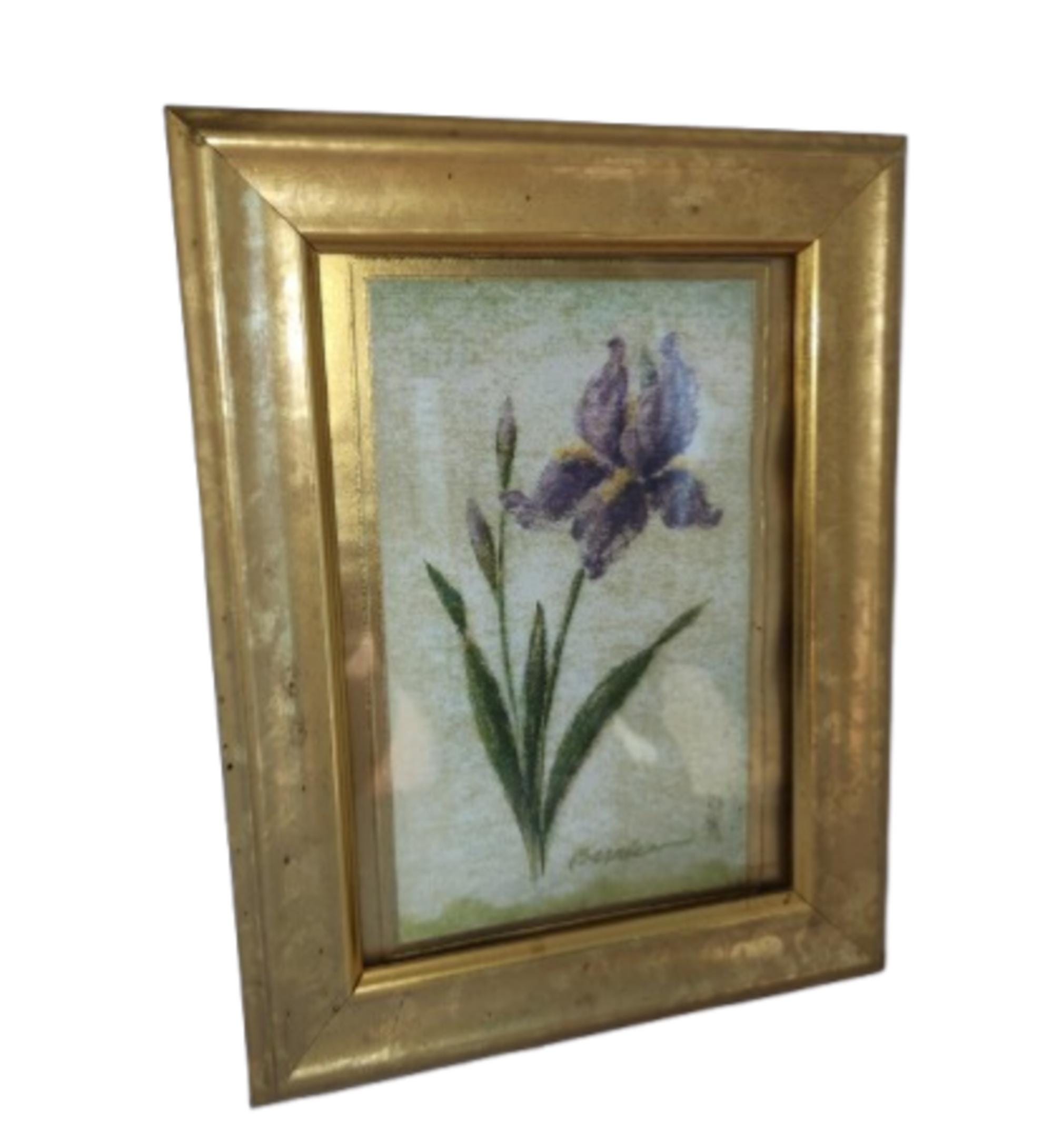 Framed Purple Iris Botanical Print Gold Gilt Frame 9x7 - Etsy
