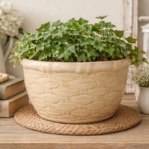May include: A large, beige ceramic planter with a woven pattern, filled with green and white variegated ivy. The planter sits on a round, woven placemat. Other decor includes books, a white pitcher, and a wooden bead garland.