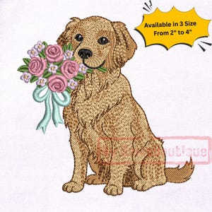 Disegno da ricamo floreale Golden Retriever, file per punto macchina per amanti dei cani (PES, DST)