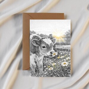 May include: A black and white illustration of a calf smelling a daisy in a field of daisies. The calf has white and gray markings. A brown envelope is behind the card. The background includes a wooden fence and a bright sun.