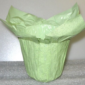 May include: A light green, paper-like container, possibly for a plant or gift. The container has a textured, crinkled appearance and is open at the top, with the edges of the paper folded outwards. The overall shape is cylindrical with a slightly flared top.