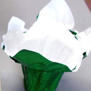 May include: A green and white gift bag with tissue paper. The bag is a vibrant green colour, and the tissue paper is white. The bag is made of a crinkled paper material. The tissue paper is folded and arranged to create a decorative effect.
