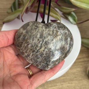 Dendritic Opal Heart - Dendritic Heart - Abundance / Protection / Growth / Stability / Grounding