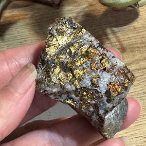 May include: A rough, natural pyrite specimen, also known as fool's gold, with a metallic gold and bronze luster. The pyrite is embedded in a matrix of gray and white minerals. The specimen is held in a hand.