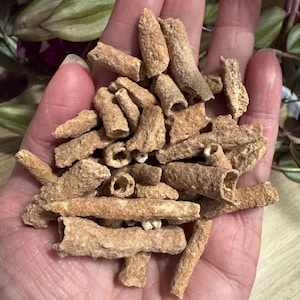 RARE Fulgurite - 1 piece or 1/2 oz - Petrified Fulgurite - Fossilized Lightning - Fulgurite Stone - Lightning Stone - Fulgurite