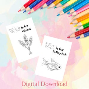 May include: Two white cards with black line drawings and text, "Ww is for Wheat" and "Xx is for X-Ray fish". Colorful pencils are arranged around the cards. The words "Digital Download" are at the bottom.