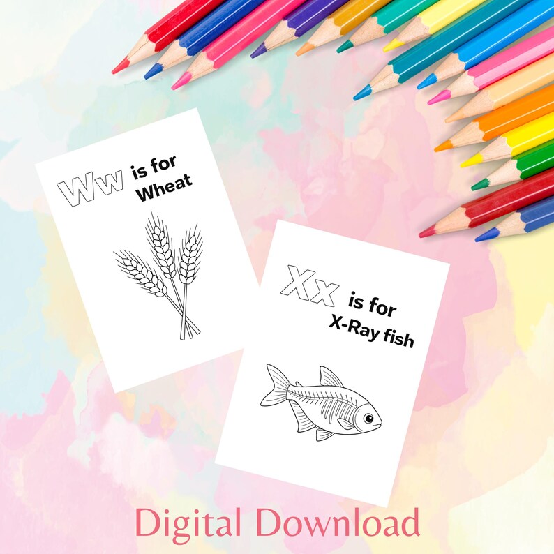 May include: Two white cards with black line drawings and text, "Ww is for Wheat" and "Xx is for X-Ray fish". Colorful pencils are arranged around the cards. The words "Digital Download" are at the bottom.