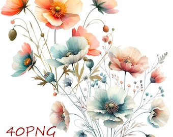 Flower Clipart – 40 PNG Transparent Backgrounds, Floral Illustration Set, Digital Download