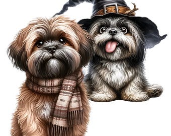 Imágenes prediseñadas de Shih Tzu: 28 imágenes PNG con fondo transparente (descarga digital)