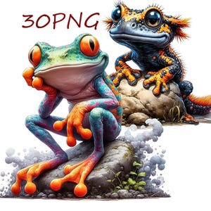 Könnte beinhalten: Eine skurrile Illustration zeigt zwei Cartoon-Amphibien. Ein grüner und blauer Frosch mit orangefarbenen Augen und Gliedmaßen sitzt auf einem Felsen. Daneben eine Eidechse mit orangefarbenen und schwarzen Markierungen. Der Text "30PNG" befindet sich oben links.