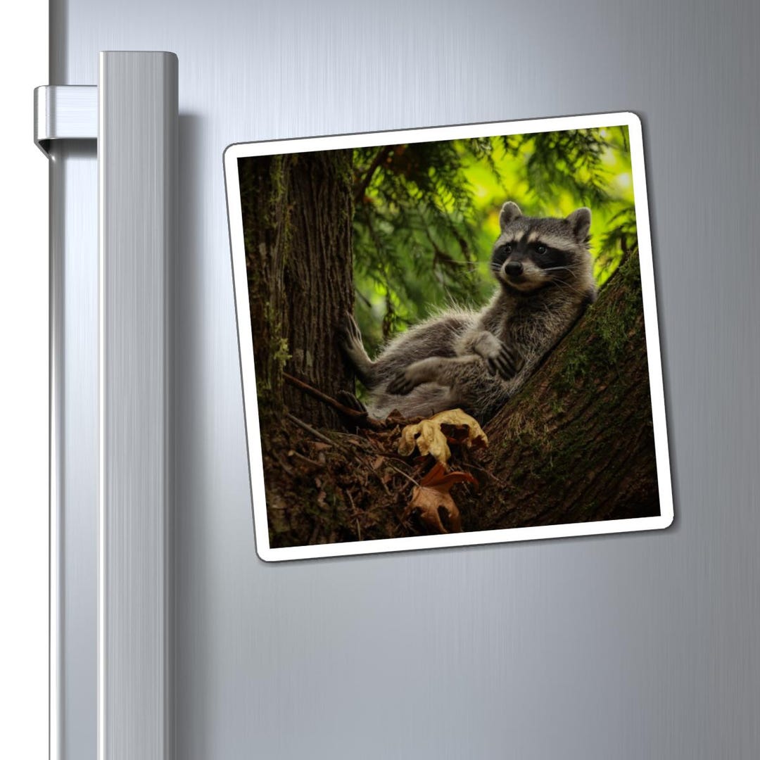 Relaxing Raccoon Refrigerator Magnet | Woodland Decor - Etsy