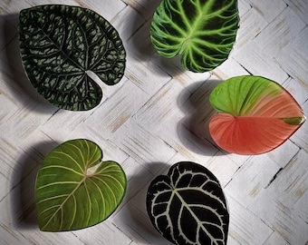 Soporte para teléfono con forma de hoja botánica