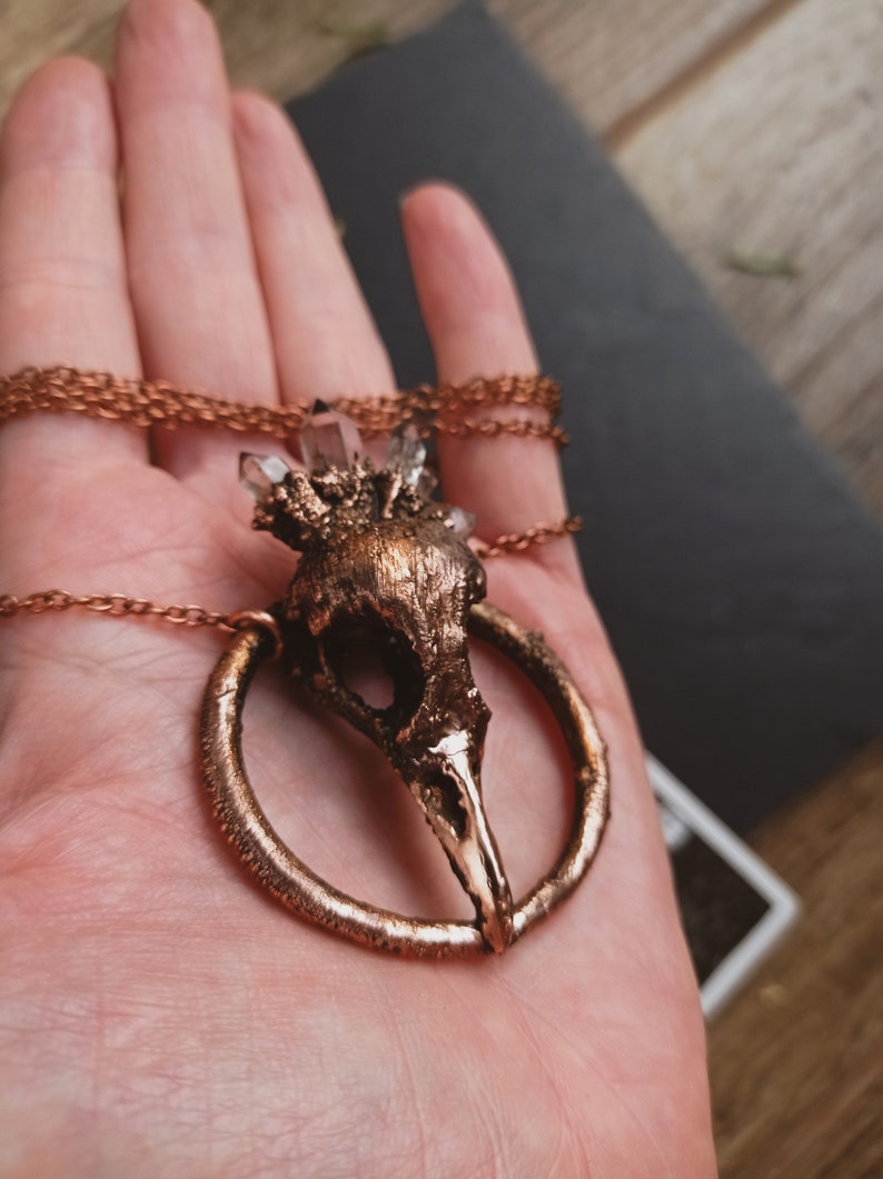 Robin skull with Norwegian crystals image 3