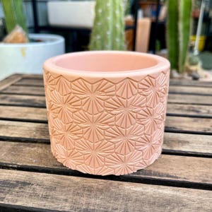 May include: A cylindrical peach-colored planter featuring a repeating geometric pattern of embossed starbursts or sunbursts across its exterior surface. The vessel has a smooth, flat rim and a consistent matte finish throughout its entire structure.