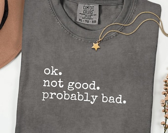 Ok. No está bien. Probablemente sea malo. Camiseta, Camiseta con cita sobre rivalidad acalorada, Romance de hockey de Ilya Rozanov, Sudadera divertida, Camiseta BookTok, Comfort Colors®