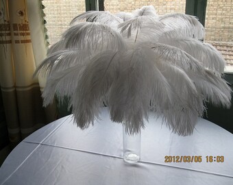 ostrich feathers for weddings