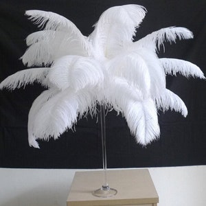 100 White Ostrich Feathers for Wedding centerpieces