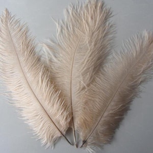 3-8days arrive 100pcs Champagne/taupe ostrich feather for wedding table centerpiece,feather centerpiece