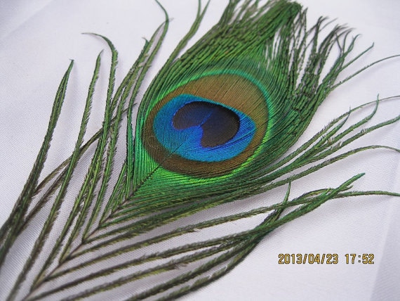  100PCS 10-12 Natural Peacock Eye Feathers Tail