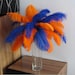 see more listings in the Bulk Ostrich Feathers section