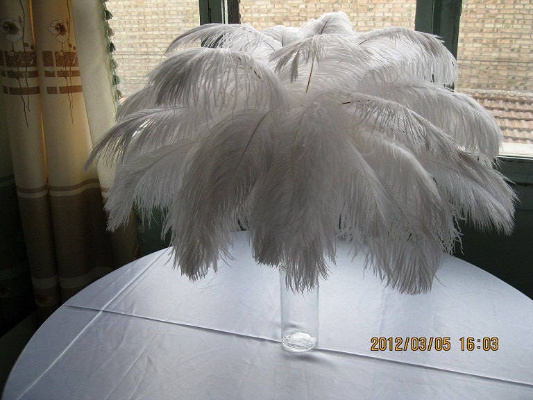 20pcs White Ostrich Feathers 12-14inch for Wedding Party Centerpieces Home  Decor