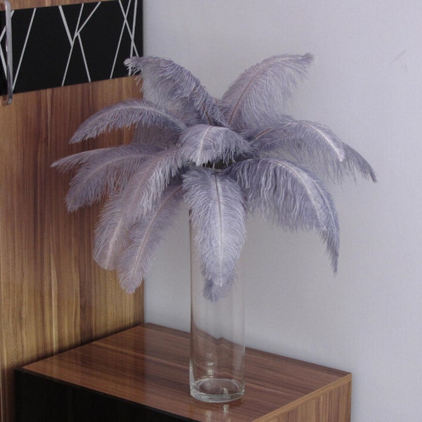 Grey Ostrich Feather Etsy