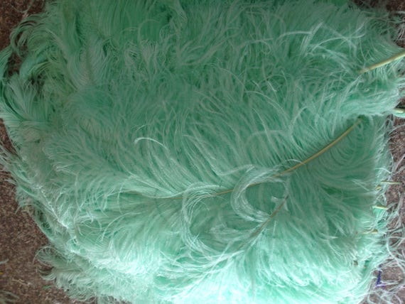 mint green ostrich feathers