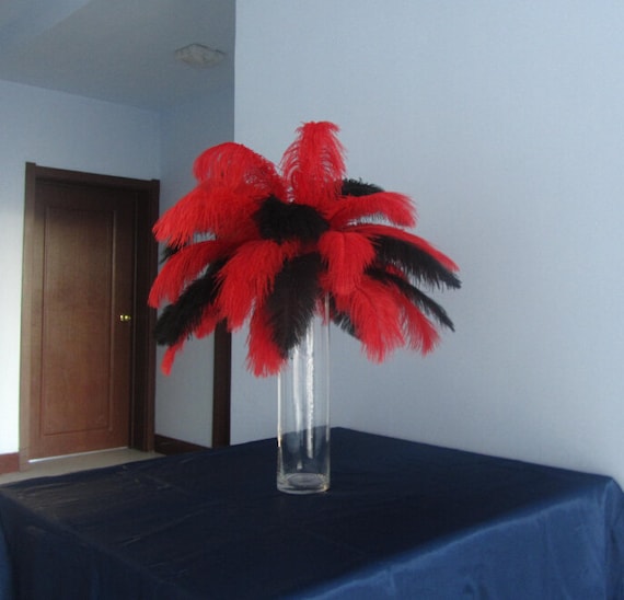12 Pack | 13-15 Natural Plume Real Ostrich Feathers Vase Centerpiece - Red