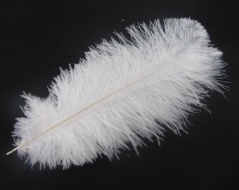 White Feathers 100  Ostrich Feather Plume for Wedding centerpieces Frist Class selected