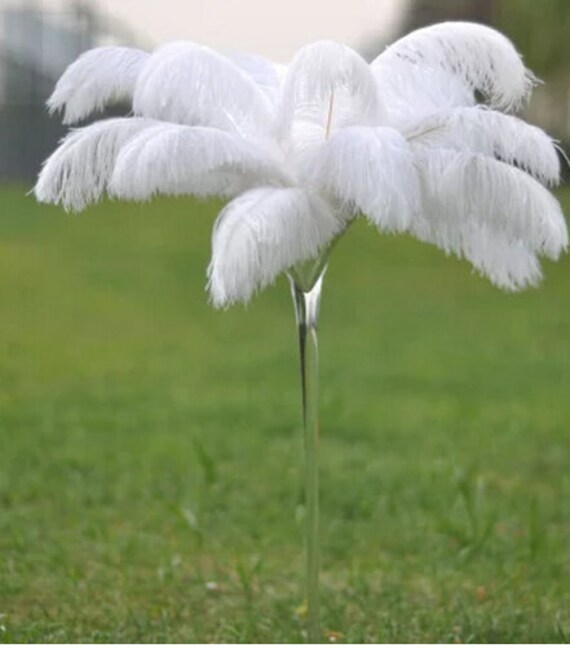 80X45cm Large Feather Fan,Burlesque Dance Feather fan,wedding Feather Fan