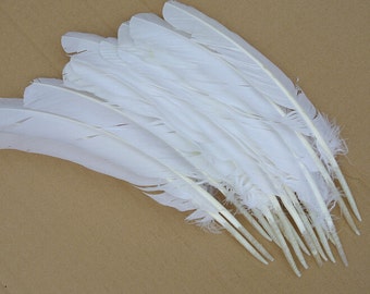 10pcs white Turkey Wing Quill Feather  for Showgirl Costume 10-12inch