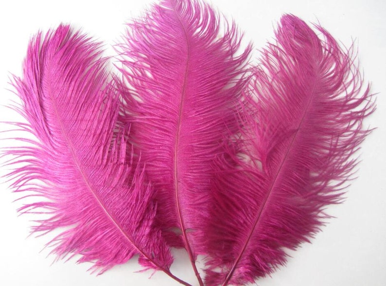 100 Dark Rose Ostrich Feathers for Wedding Table - Etsy