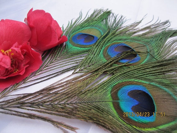 10~100PCS Natural Real Peacock Tail Eye Feathers Feather House Ornamen DIY  Decor