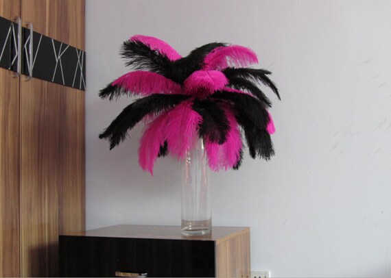 Pink and black ostrich feathers deals