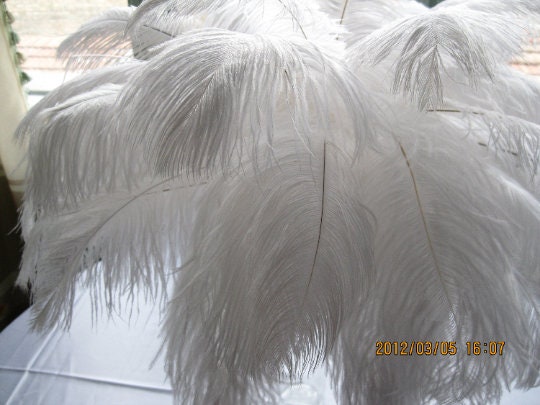 5pcs 18-20inch Large Natural Ostrich Feathers for Wedding Party  Centerpieces Masquerade Party Decoration Feathers for Vase Decor