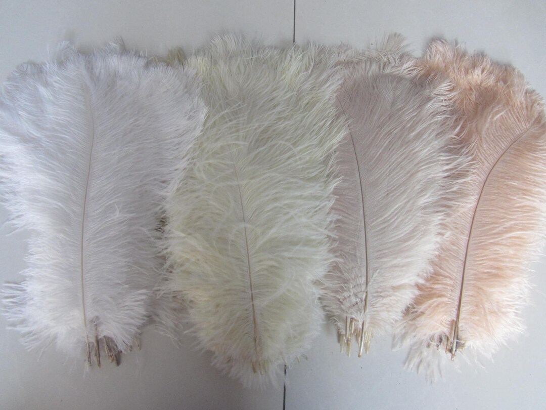 100 Ostrich Feathers for Wedding Table Centerpiecesostrich - Etsy