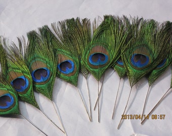 50pcs/lot 8-10" L Peacock eye  feathers  for Wedding invitation Bridal Bouquet Table Centerpiece DIY scrapbook or hairpiece