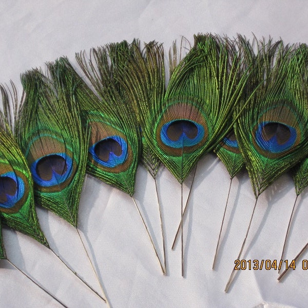 50pcs/lot 8-10" L Peacock eye  feathers  for Wedding invitation Bridal Bouquet Table Centerpiece DIY scrapbook or hairpiece