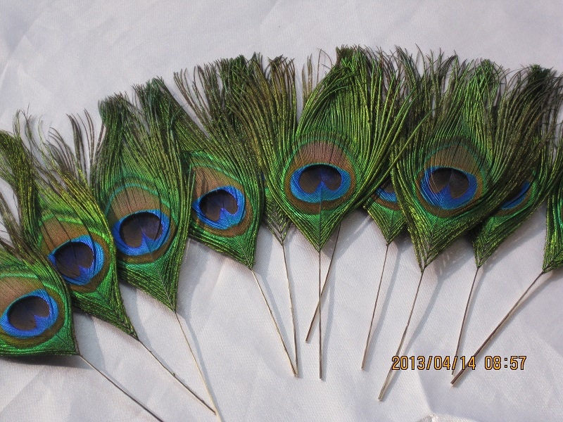 Golden Feathers Natural Bulk Crafts Diy Cosplay - Temu