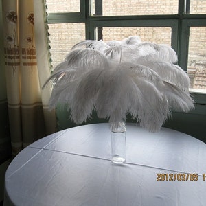 50pcs/lot 14-16 inches ostrich feather for wedding table centerpiece decorations AA quality Many colors in stock image 2