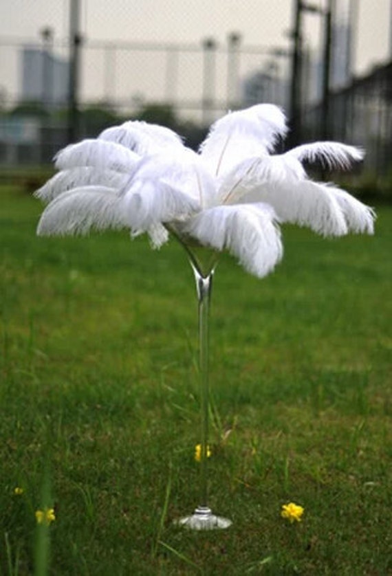 120 Pcs Natural Black / White Ostrich Feathers for Wedding Party Centerpieces,Flower Arrangement Home Decoration (Black)