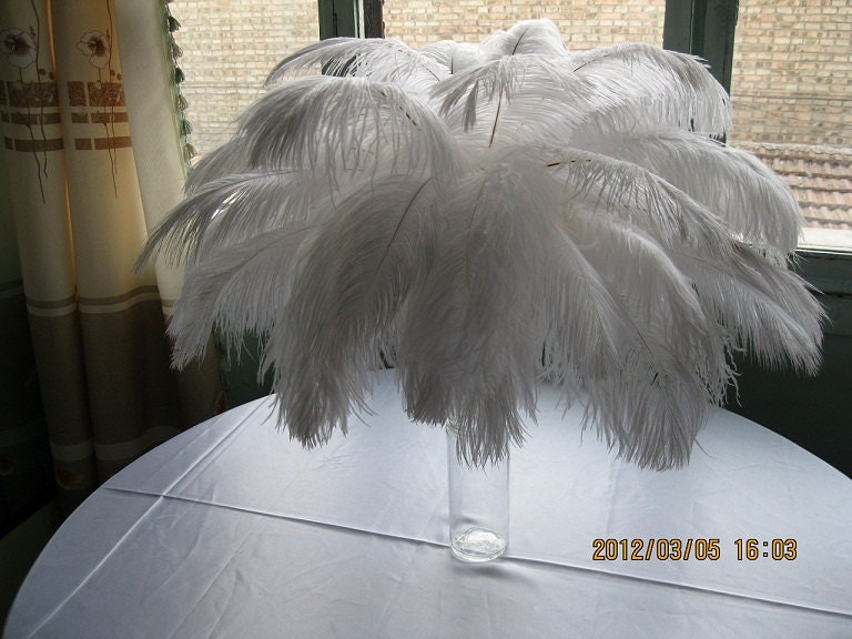 5pcs 18-20inch Large Natural Ostrich Feathers for Wedding Party  Centerpieces Masquerade Party Decoration Feathers for Vase Decor