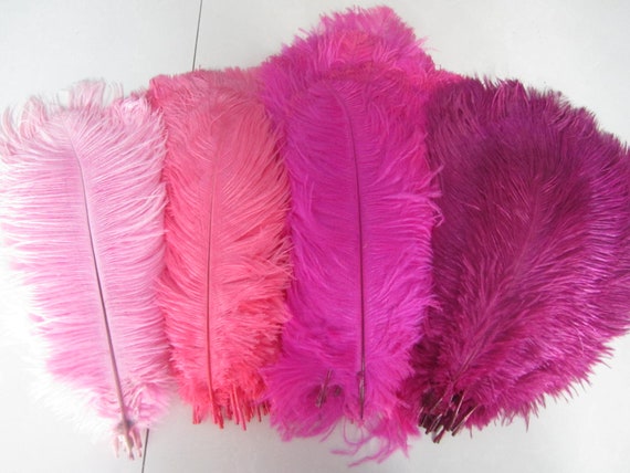 100 ostrich feathers