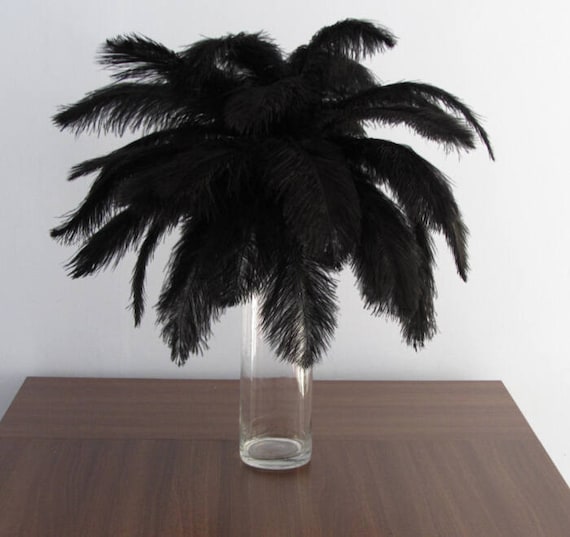 Rush Shippment Black Feathers 200pieces 18-20inch Ostrich Feather