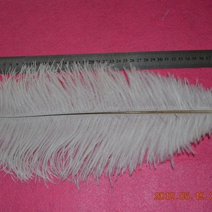 50pcs/lot 14-16 inches ostrich feather for wedding table centerpiece decorations AA quality Many colors in stock image 1
